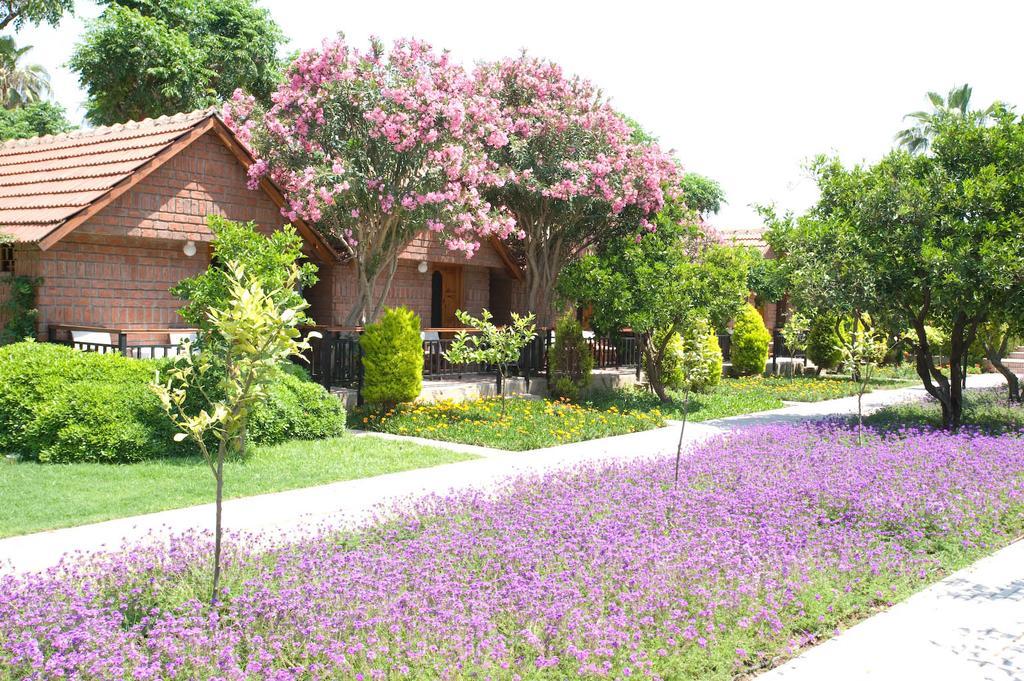 Hotel Can Garden Beach 锡德 外观 照片